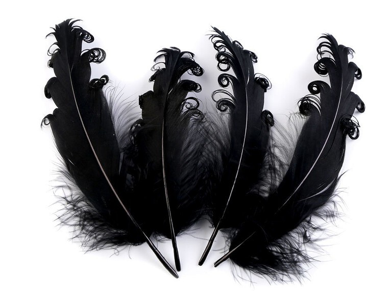 Czarne pióra z gęsi dekoracyjne 18cm